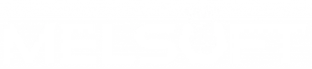 melsoft logo